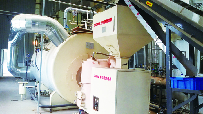 生物質(zhì)蒸汽鍋爐-2