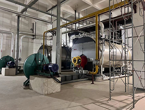 2臺(tái)20噸蒸汽鍋爐租賃服務(wù)現(xiàn)場(chǎng)